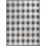 Gingham Gradient Plaid Cottage Machine-Washable Area Rug Area Rug