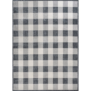 Gingham Gradient Plaid Cottage Machine-Washable Area Rug Area Rug