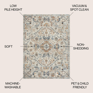Shaemus Bohemian Medallion Low-Pile Machine-Washable Area Rug