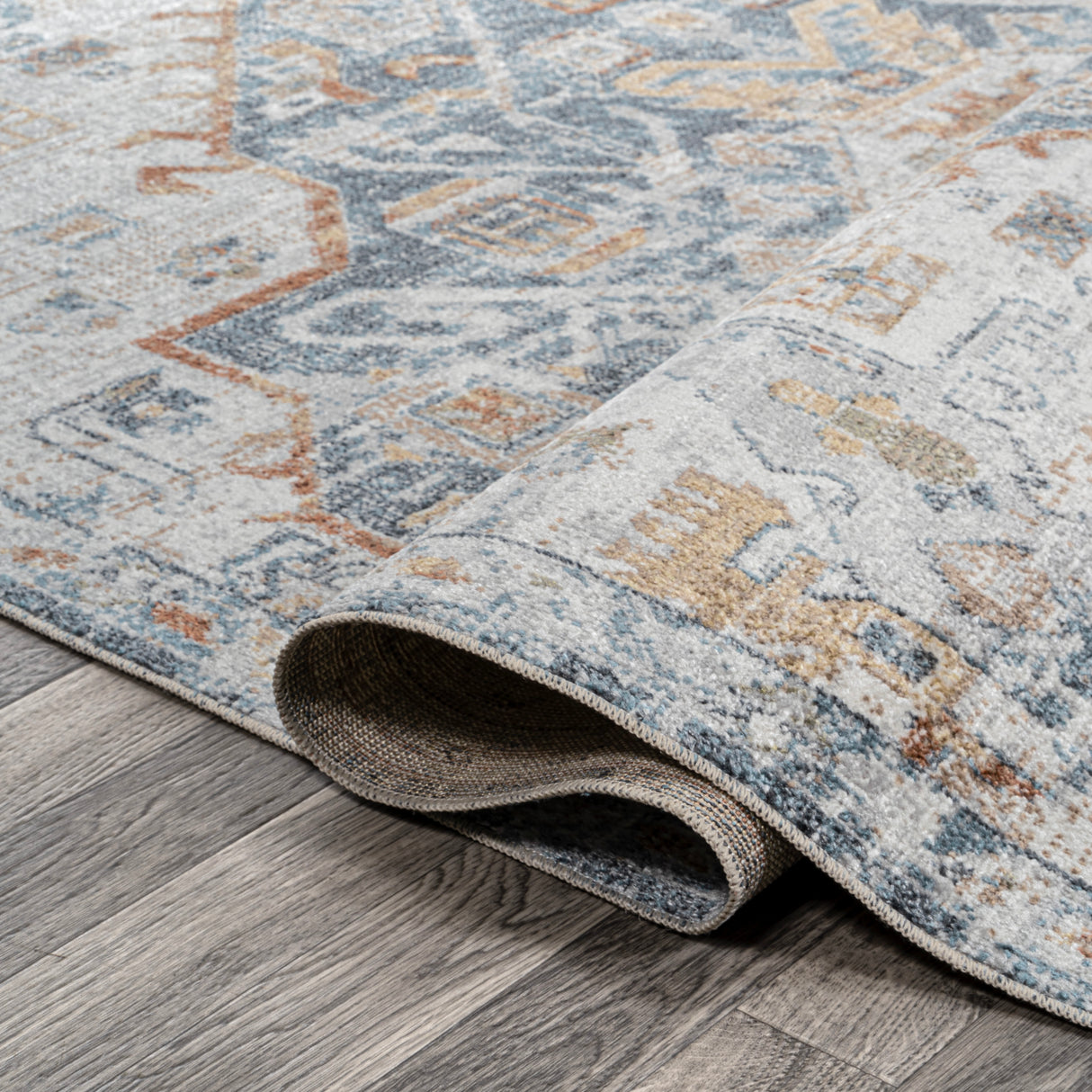 Shaemus Bohemian Medallion Low-Pile Machine-Washable Area Rug