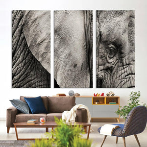 Wall Art Animal Canvas Print Close Taken Elephant with Big