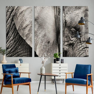 Wall Art Animal Canvas Print Close Taken Elephant with Big