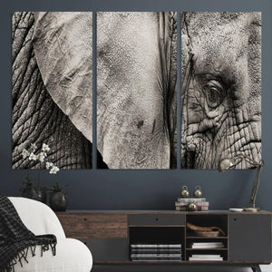 Wall Art Animal Canvas Print Close Taken Elephant with Big