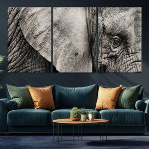 Wall Art Animal Canvas Print Close Taken Elephant with Big