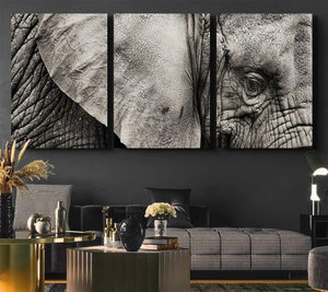 Wall Art Animal Canvas Print Close Taken Elephant with Big
