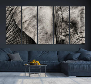 Wall Art Animal Canvas Print Close Taken Elephant with Big