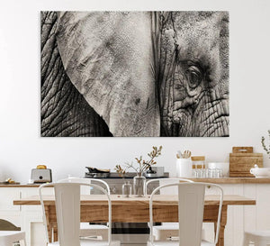Wall Art Animal Canvas Print Close Taken Elephant with Big