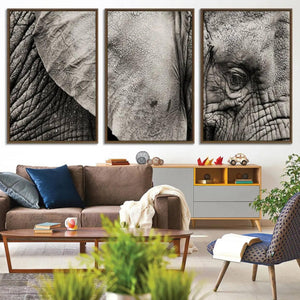 Wall Art Animal Canvas Print Close Taken Elephant with Big