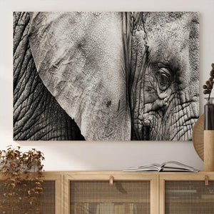 Wall Art Animal Canvas Print Close Taken Elephant with Big