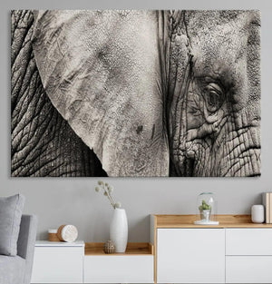 Wall Art Animal Canvas Print Close Taken Elephant with Big