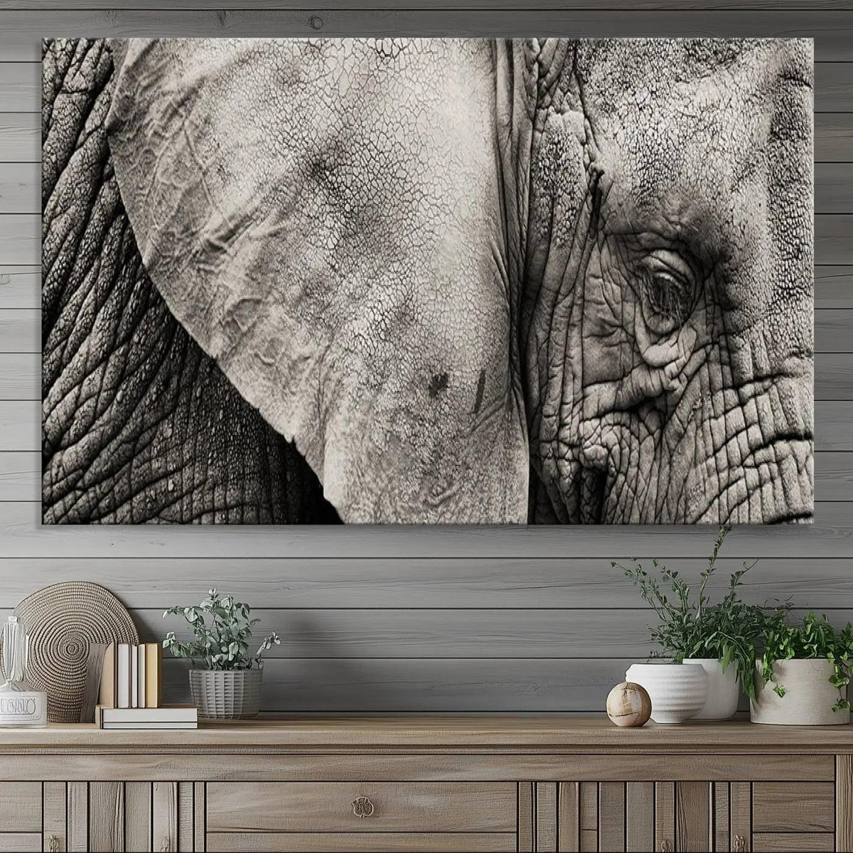 Wall Art Animal Canvas Print Close Taken Elephant with Big