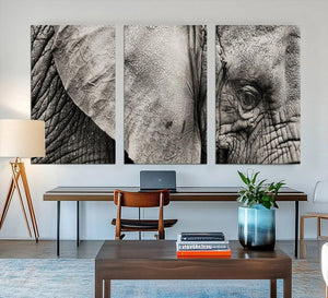 Wall Art Animal Canvas Print Close Taken Elephant with Big