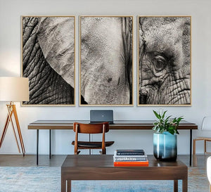 Wall Art Animal Canvas Print Close Taken Elephant with Big