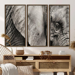 Wall Art Animal Canvas Print Close Taken Elephant with Big