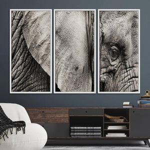 Wall Art Animal Canvas Print Close Taken Elephant with Big