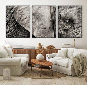 Wall Art Animal Canvas Print Close Taken Elephant with Big