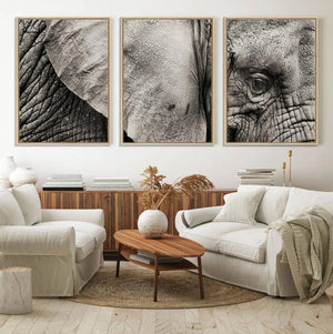 Wall Art Animal Canvas Print Close Taken Elephant with Big