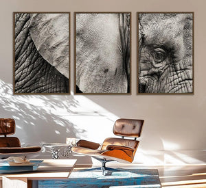 Wall Art Animal Canvas Print Close Taken Elephant with Big