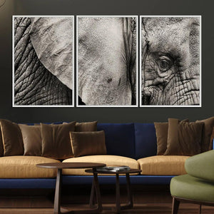 Wall Art Animal Canvas Print Close Taken Elephant with Big