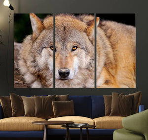 Wild Wolf Wall Art Canvas Print, Framed Canvas Print, Modern