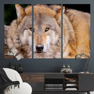 Wild Wolf Wall Art Canvas Print, Framed Canvas Print, Modern
