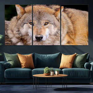 Wild Wolf Wall Art Canvas Print, Framed Canvas Print, Modern