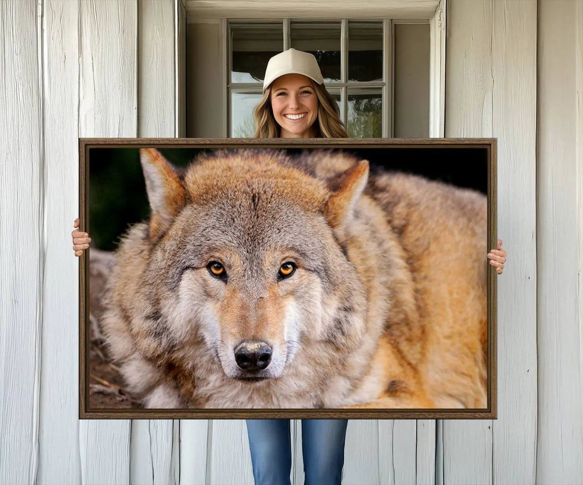 Wild Wolf Wall Art Canvas Print, Framed Canvas Print, Modern