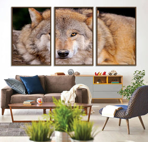 Wild Wolf Wall Art Canvas Print, Framed Canvas Print, Modern