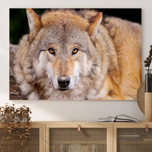 Wild Wolf Wall Art Canvas Print, Framed Canvas Print, Modern