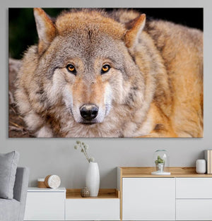 Wild Wolf Wall Art Canvas Print, Framed Canvas Print, Modern