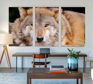 Wild Wolf Wall Art Canvas Print, Framed Canvas Print, Modern