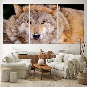 Wild Wolf Wall Art Canvas Print, Framed Canvas Print, Modern