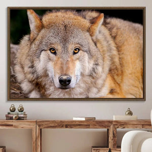Wild Wolf Wall Art Canvas Print, Framed Canvas Print, Modern