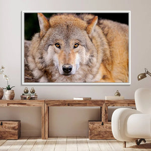 Wild Wolf Wall Art Canvas Print, Framed Canvas Print, Modern