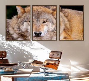 Wild Wolf Wall Art Canvas Print, Framed Canvas Print, Modern