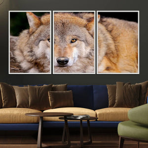 Wild Wolf Wall Art Canvas Print, Framed Canvas Print, Modern