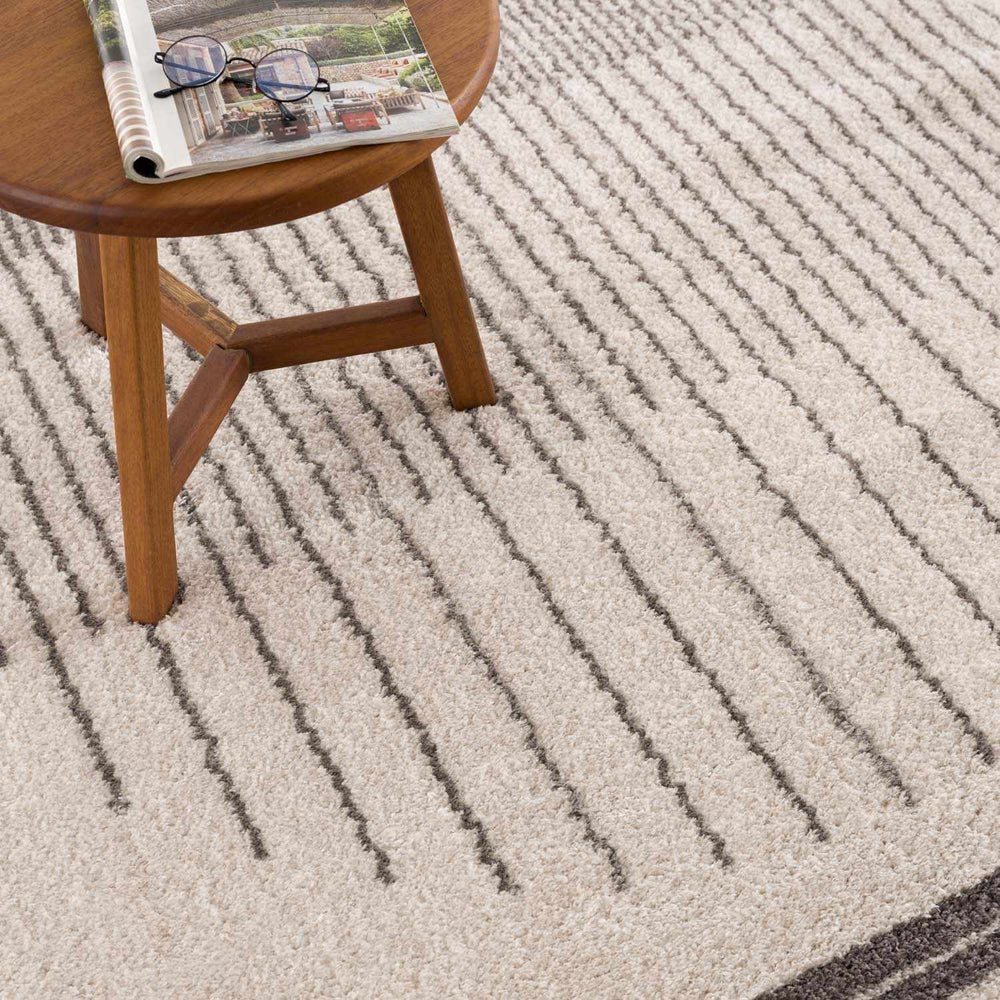 Apichu Charcoal Washable Area Rug