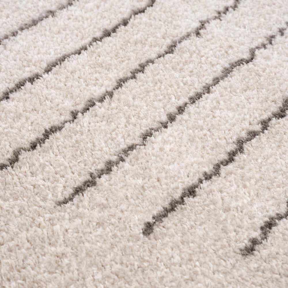 Apichu Charcoal Washable Area Rug