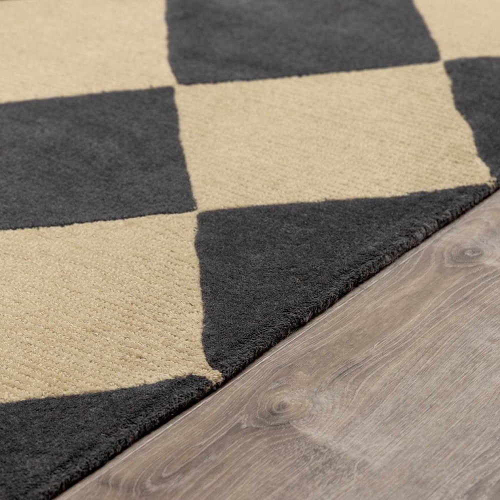 Aradia Charcoal Area Rug