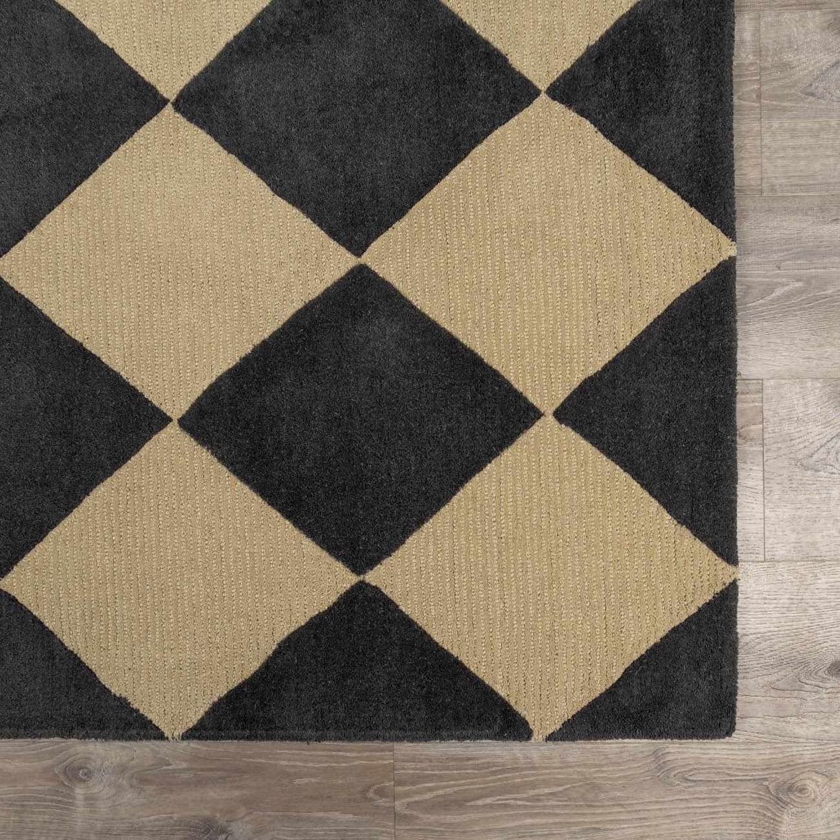 Aradia Charcoal Area Rug