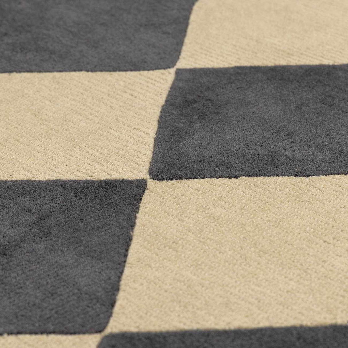 Aradia Charcoal Area Rug