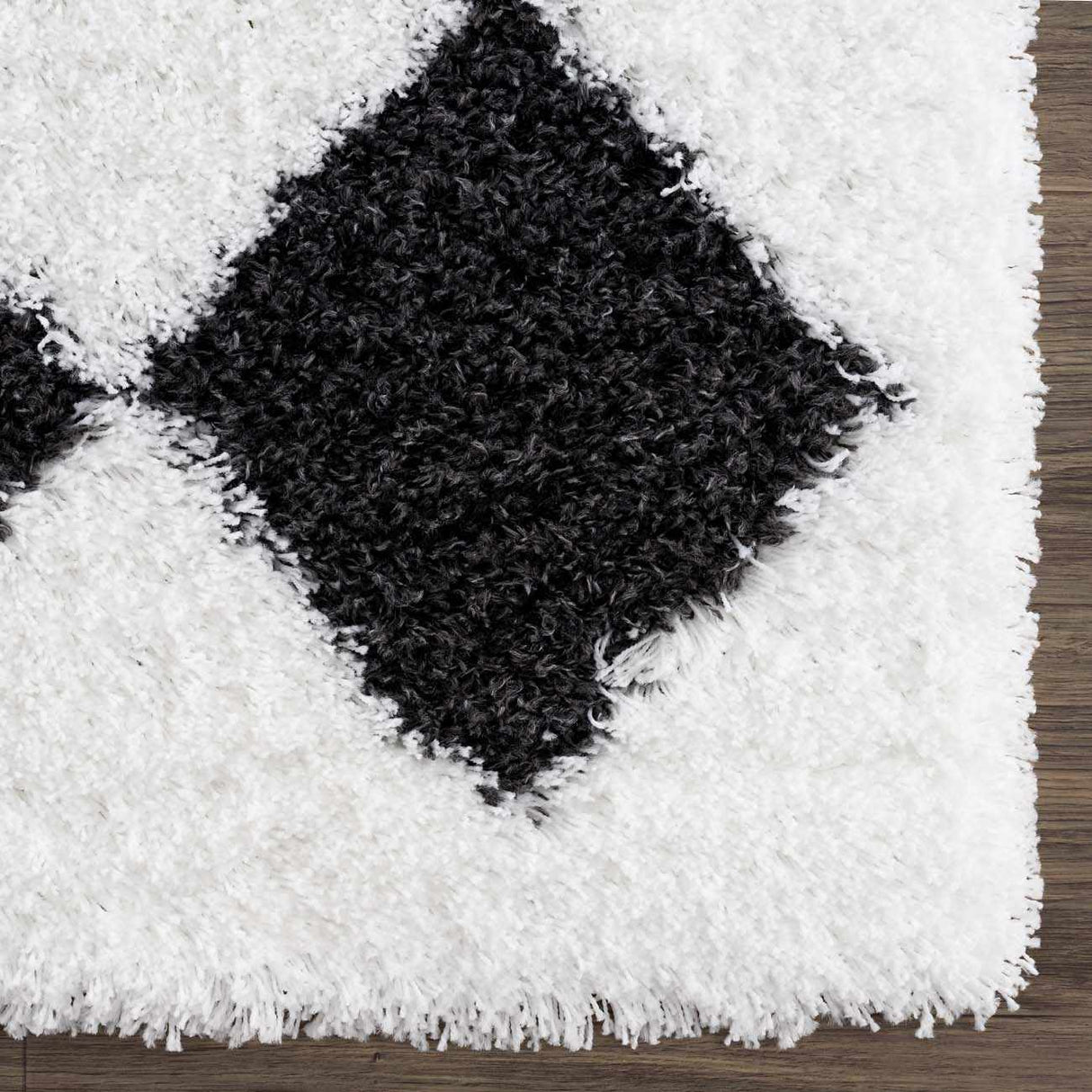 Zahur Black & White Diamond Area Rug