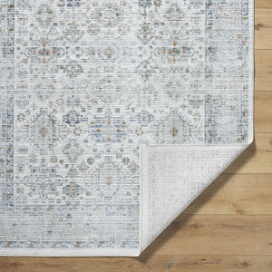 Aleron Area Rug