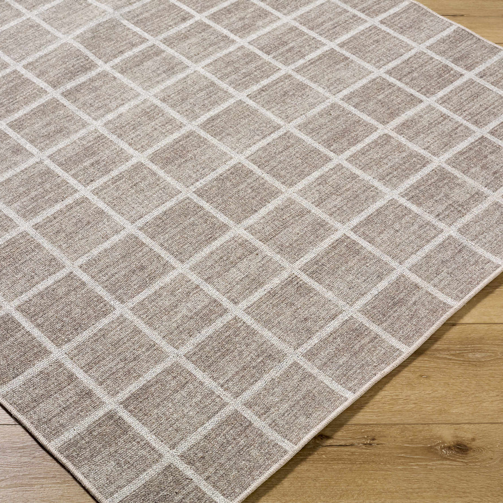Anicet Checkered Washable Wool Area Rug