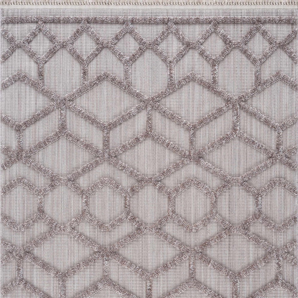 Borbon Area Rug