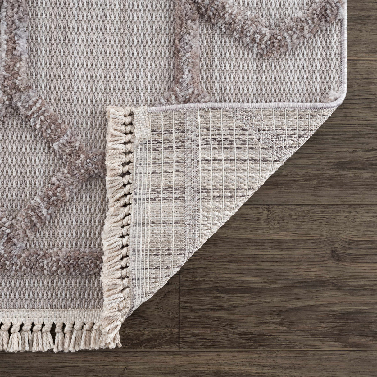 Borbon Area Rug