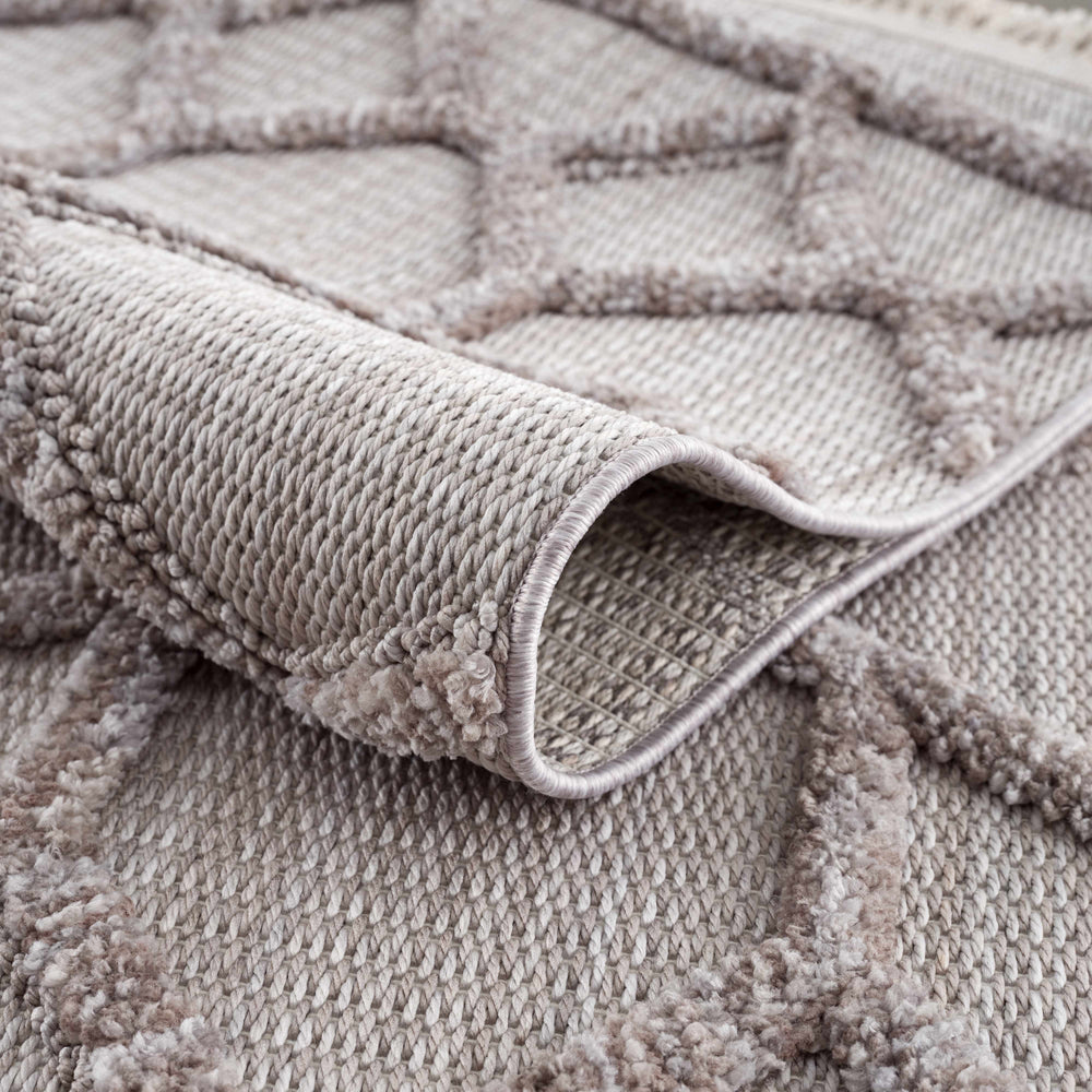 Borbon Area Rug