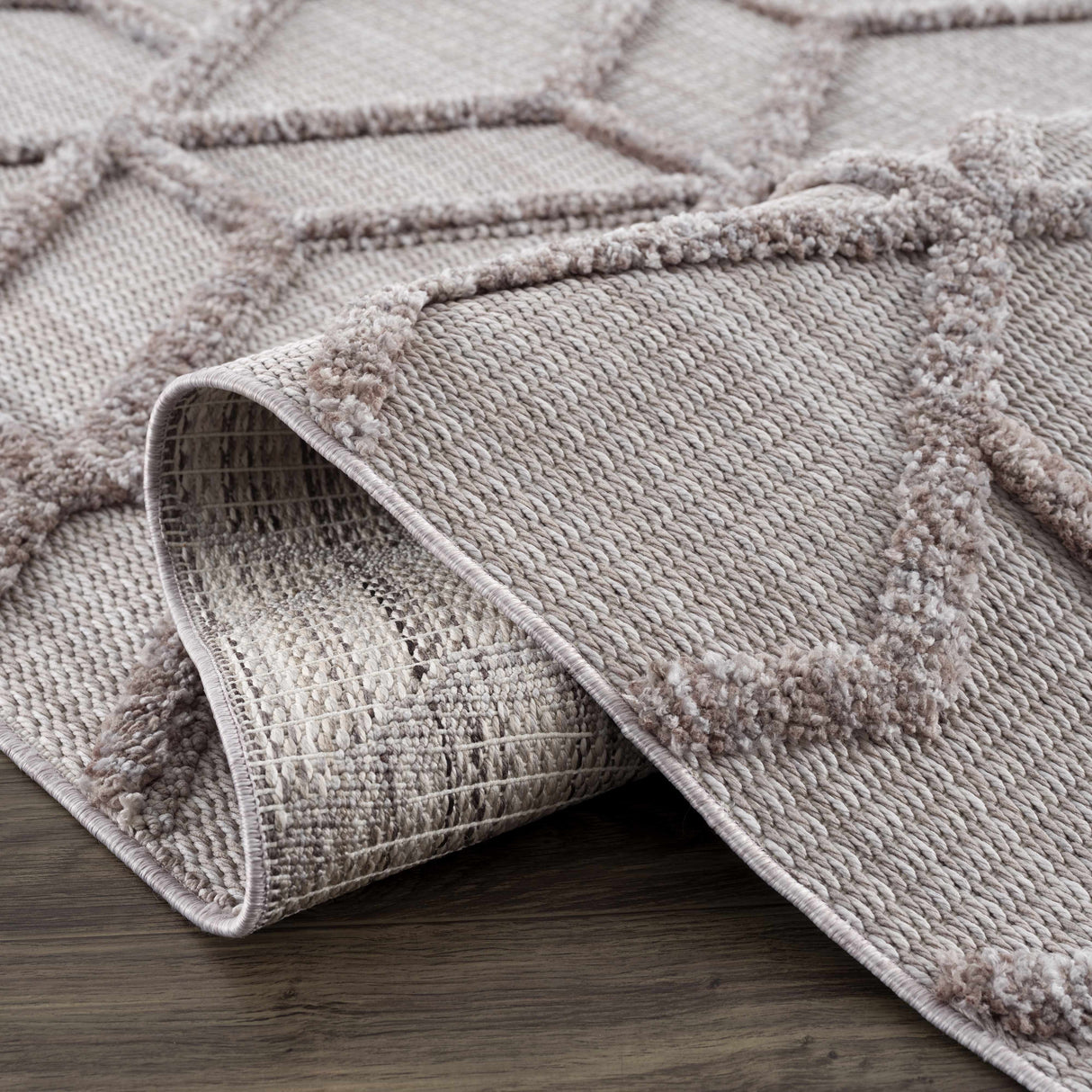 Borbon Area Rug