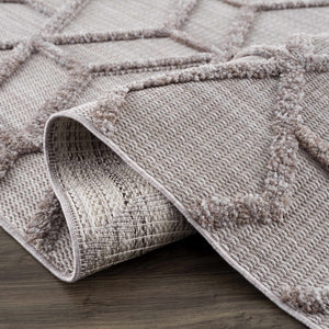 Borbon Area Rug