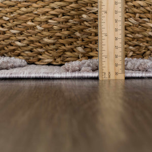 Borbon Area Rug
